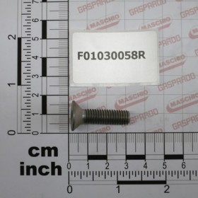 SCR. M8X1,25X30   U5933 10.9ZD