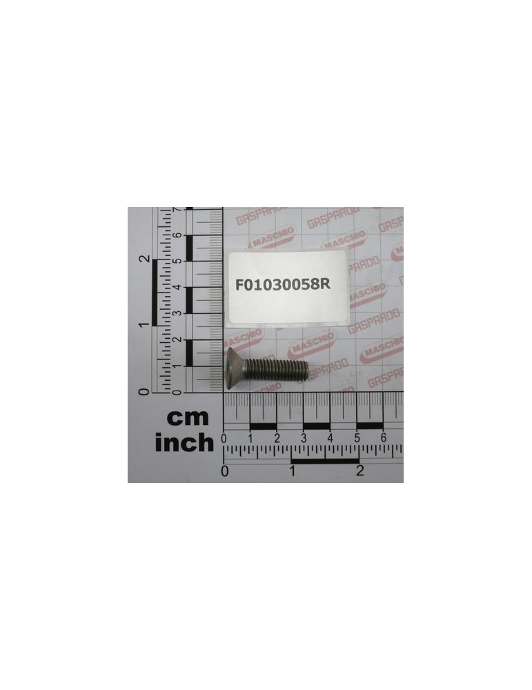 SCR. M8X1,25X30   U5933 10.9ZD