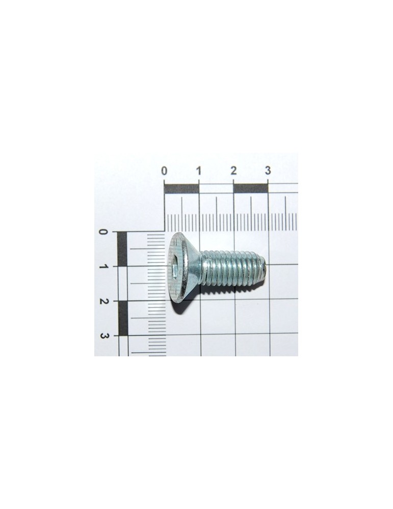 SCREW M10X1,5X25 U5933 10.9ZD