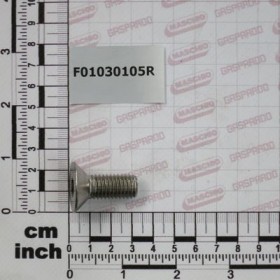 SCR. M12X1,75X30  U5933   A2IX