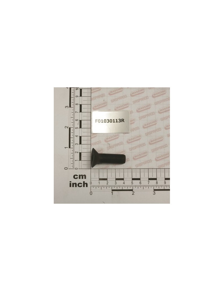 SCR. M12X1,25X40  U5934 10.9BR