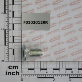 SCREW M14X2X30 U5933 10.9ZD