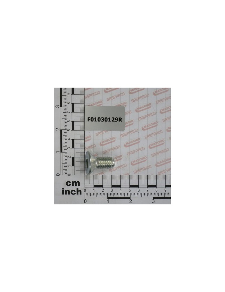 SCREW M14X2X30 U5933 10.9ZD