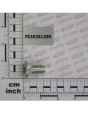 SCREW M14X2X30 U5933 10.9ZD
