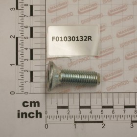 SCR. M14X2X45     U5933 10.9ZD