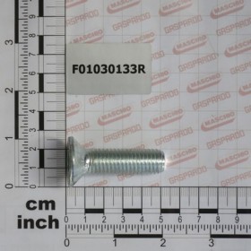 SCREW M14X2X50 U5933 10.9ZD