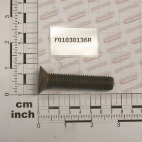 SCR. M14X2X70     U5933 10.9ZD