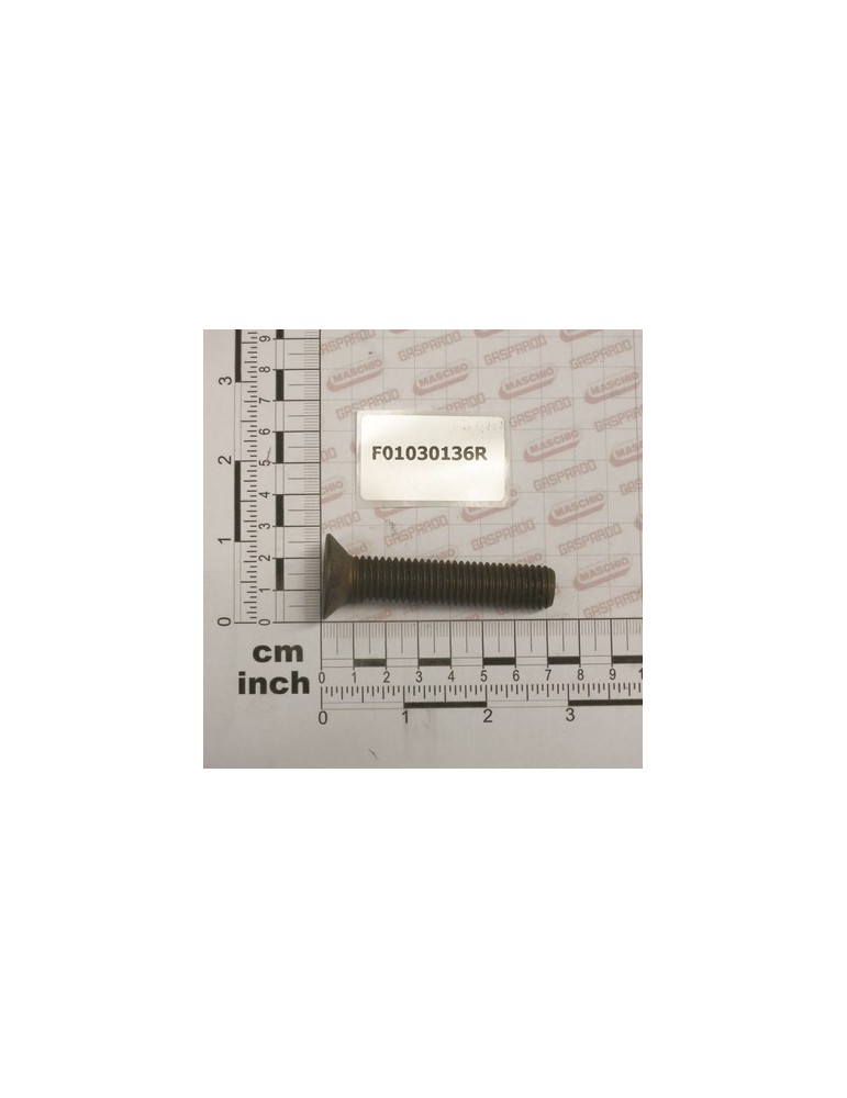 SCR. M14X2X70     U5933 10.9ZD
