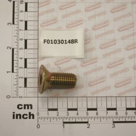 SCREW M16X2X35 U5933 10.9ZD