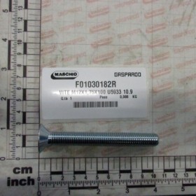 BOLT M12X1,75X100 U5933 10.9