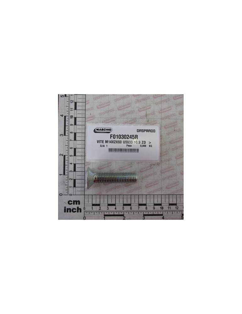 SCREW M14X2X60 U5933 10.9 ZD