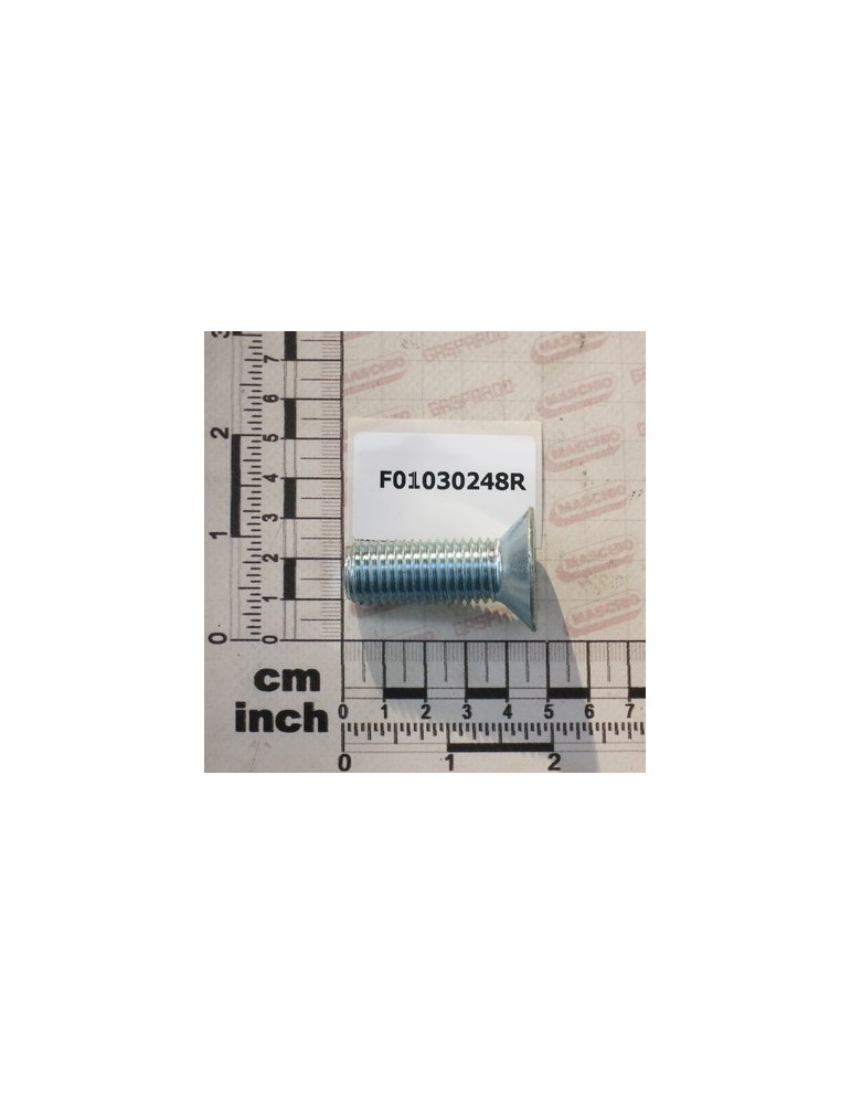 SCR.M16X2X 45 U5933  10.9 ZN