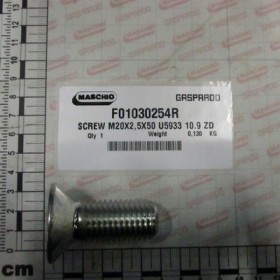 SCREW M20X2,5X50 U5933 10.9 ZD
