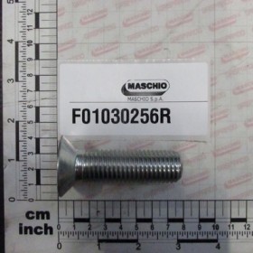 SCREW M20X2,5X70 10.9 ZD