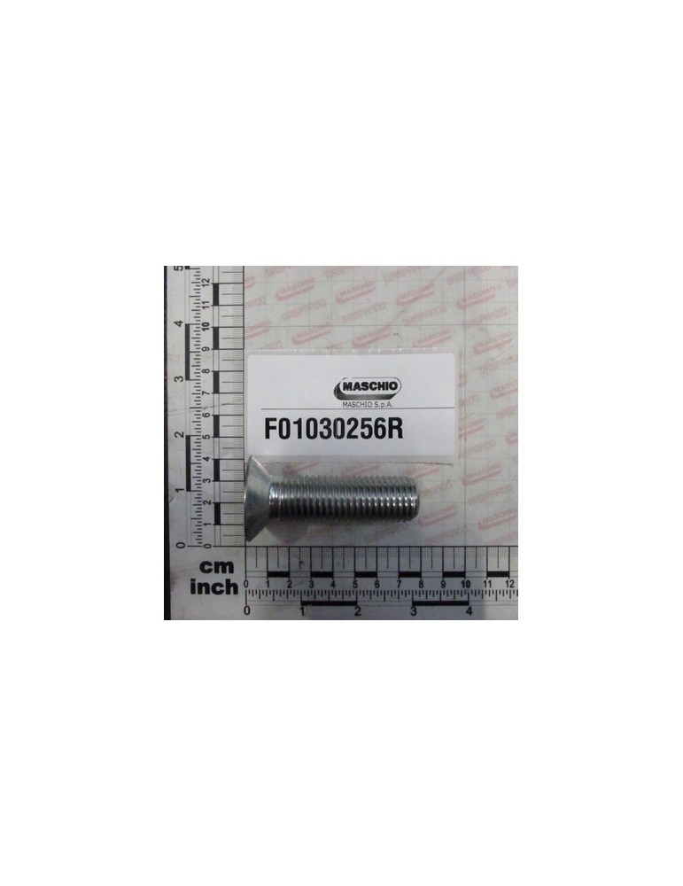 SCREW M20X2,5X70 10.9 ZD