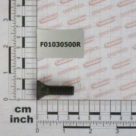 BOLT TRS 10X35