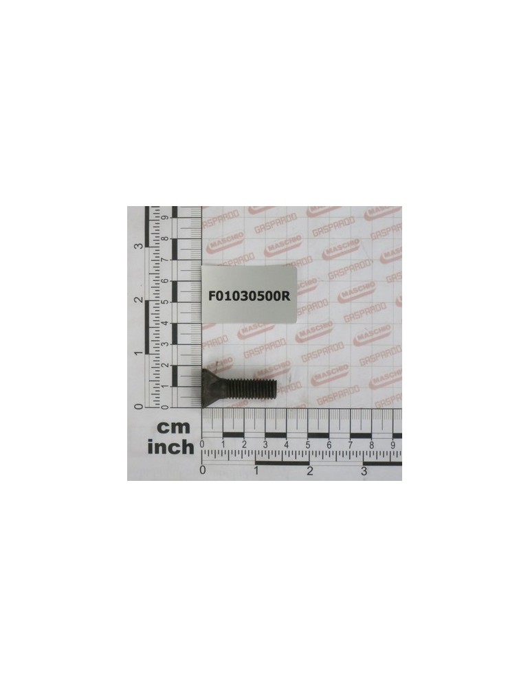 BOLT TRS 10X35