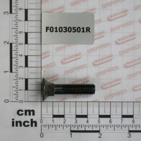 BOLT TSQST 10X45 8.8