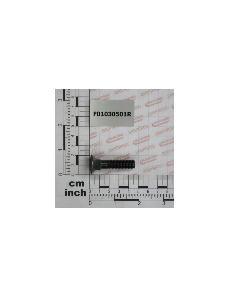 BOLT TSQST 10X45 8.8