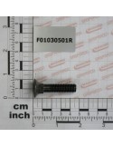 BOLT TSQST 10X45 8.8