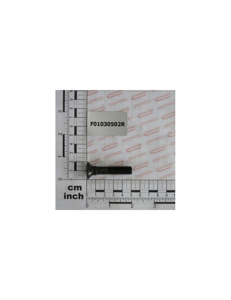 BOLT TSQST 10X50 8.8