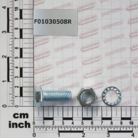 BOLT T.Q. 11X30