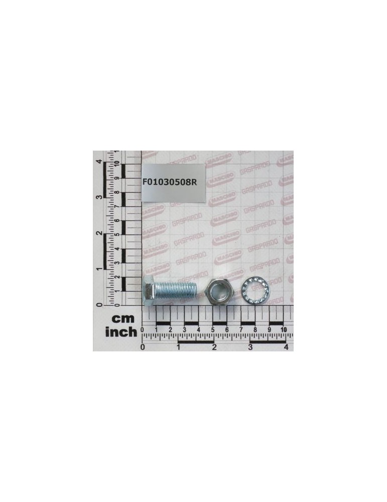BOLT T.Q. 11X30