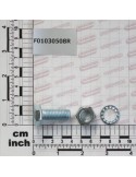 BOLT T.Q. 11X30