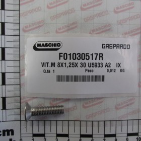 SCREW M8X1,25X30 U5933 A2   IX