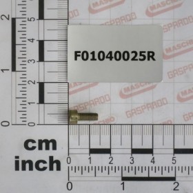 SCR. M4X0,7X10    U5931* 8.8ZN