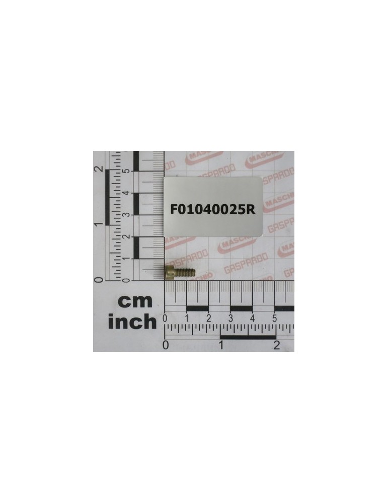 SCR. M4X0,7X10    U5931* 8.8ZN
