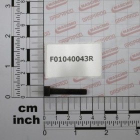 SCR. M5X0,8X30    U5931  8.8BR