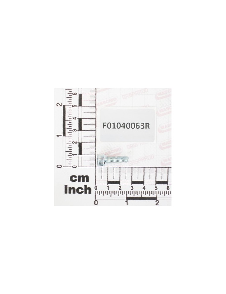 SCR. M6X1X20      U5931  8.8ZN