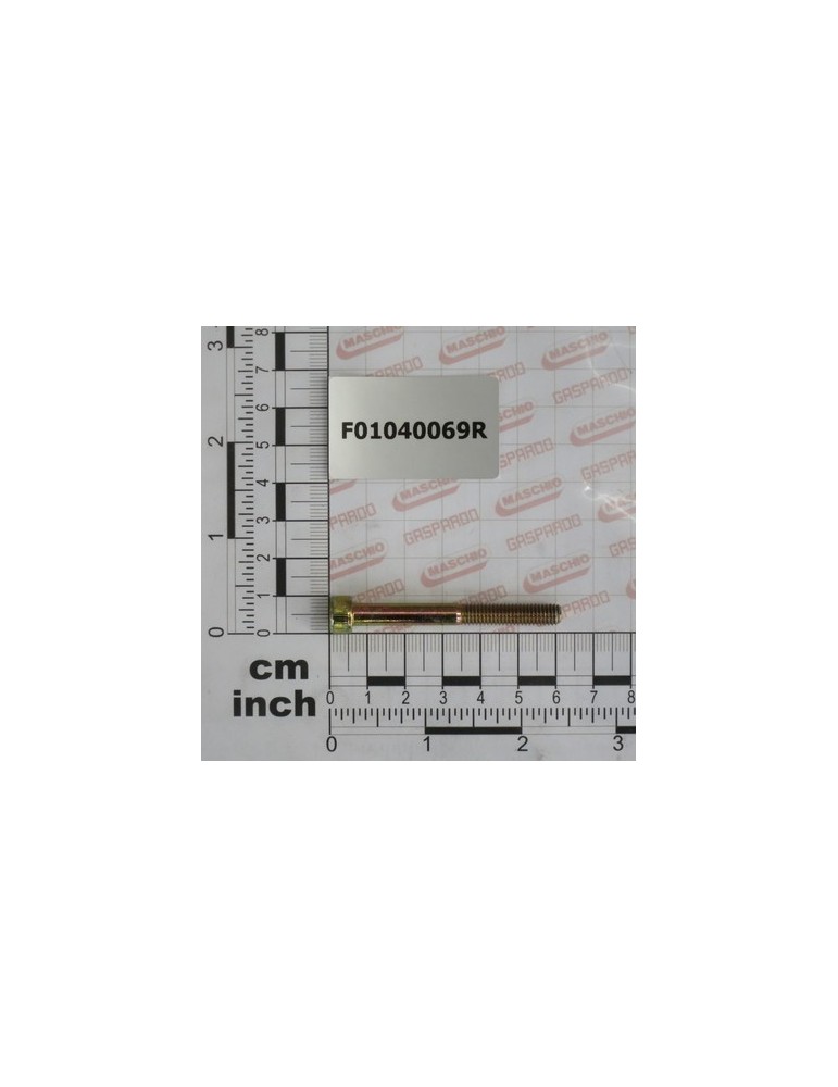 SCR. M6X1X55      U5931  8.8ZN