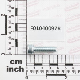 SCR. M8X1,25X30   U5931  8.8ZN