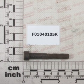 SCR. M8X1,25X55   U5931  8.8BR