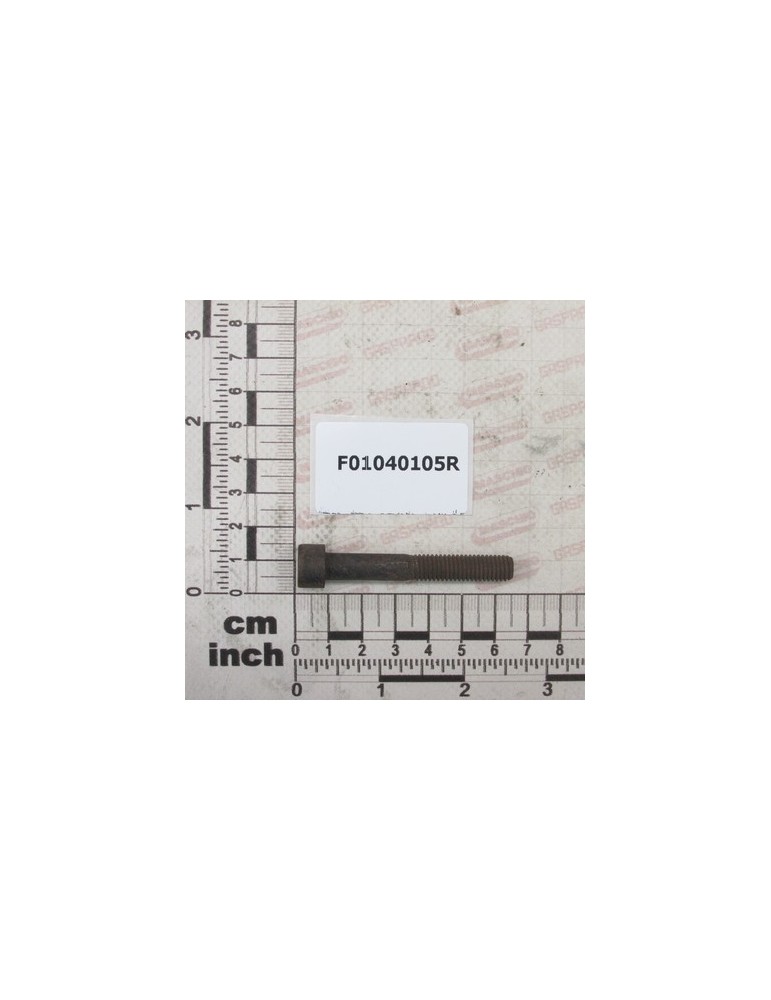 SCR. M8X1,25X55   U5931  8.8BR