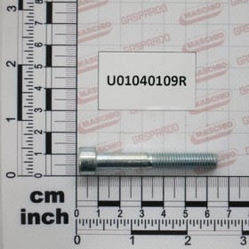 SCR. M8X1,25X55   U5931  8.8ZN