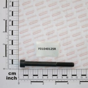 SCR. M10X1,5X100  U5931  8.8BR