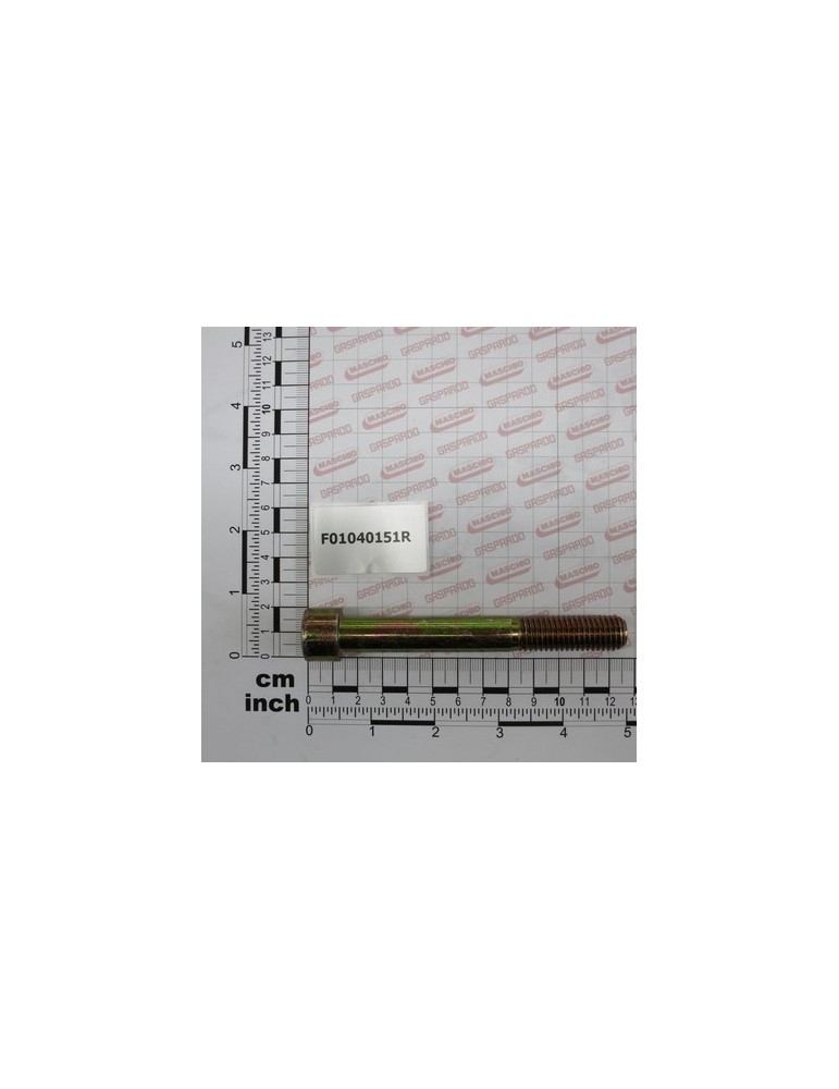 SCR. M14X2X110    U5931  8.8ZN