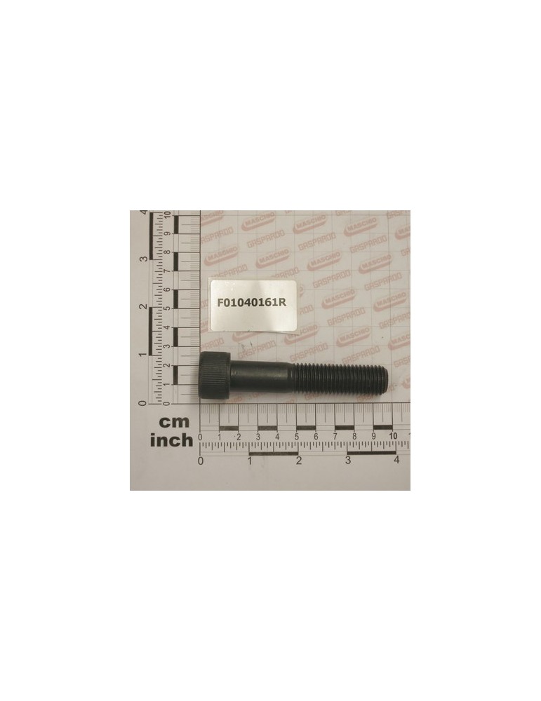 SCR. M16X2X80     U5931  8.8BR
