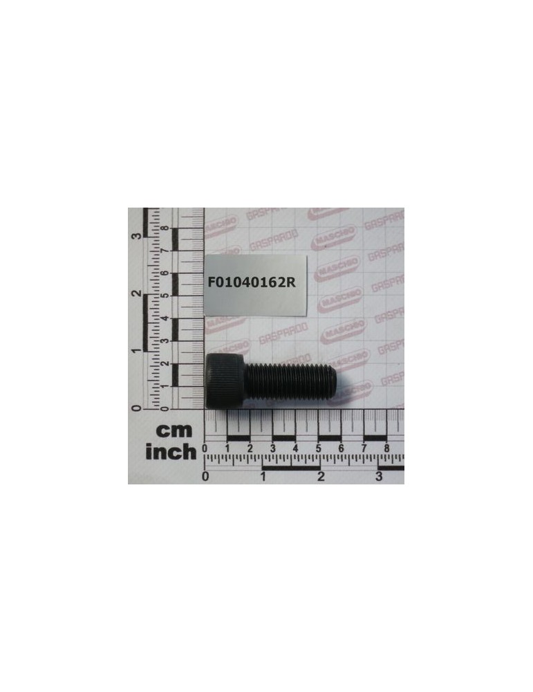 SCR. M16X2X40     U5931  8.8BR