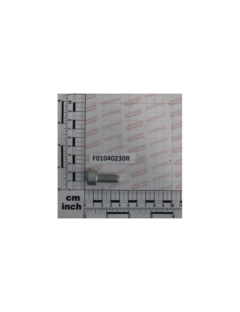 VITE M10X1,5 X 25 U5931 8.8GE