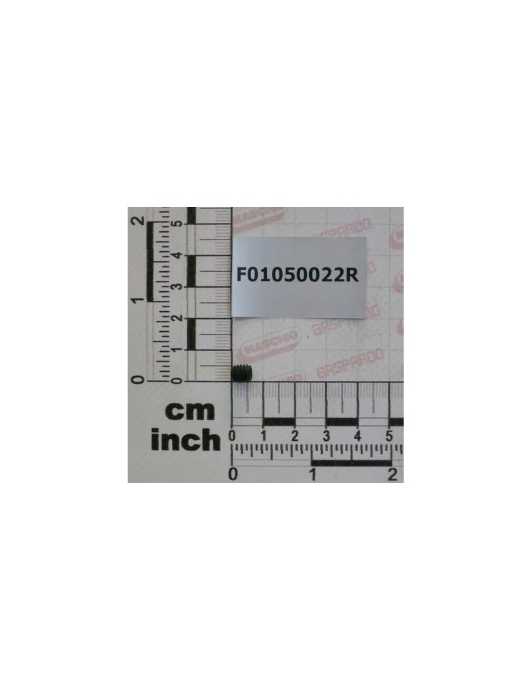 SCR. M6X1X6       U5923 12.9BR