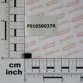 SCR. M8X1,25X10   U5923  8.8BR
