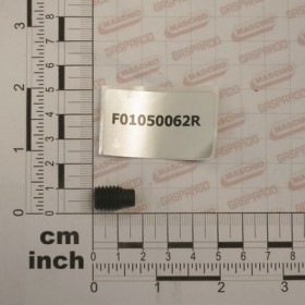 SCR. M10X1,5X16   U5925  8.8BR