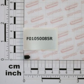 SCR. M6X1X8       U5927