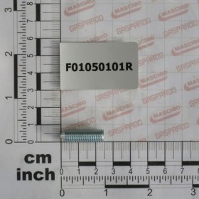 SCR. M8X1,25X25   U5927     ZN