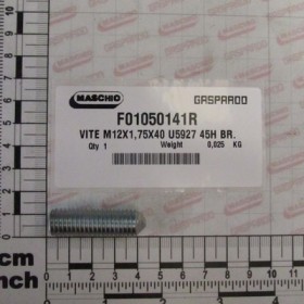 VITE M12X1,75X40 U5927 45H BR.