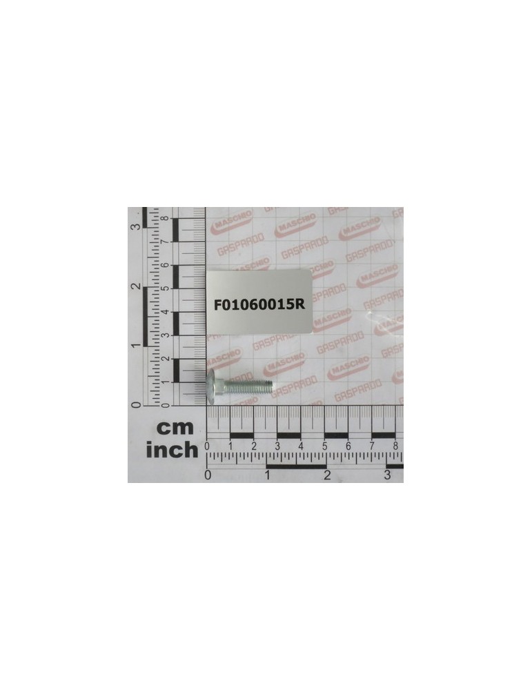 SCR. M6X1X25      U5732  4.6ZN